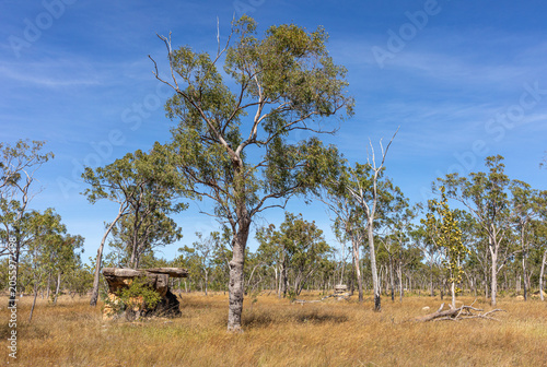 Photos Sandstone rock formations and open woodland savanna of the Mitchell Plateau, Western Australia
