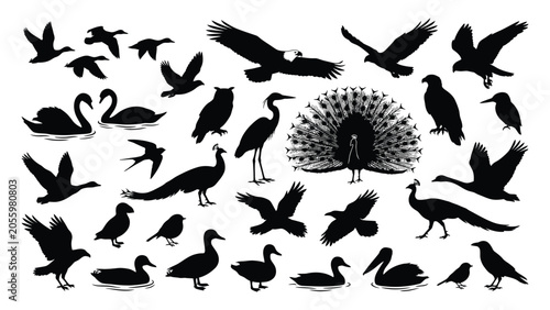 Tableau sur toile Bird silhouettes collection features a wide variety of avian species arranged in a detailed graphic set