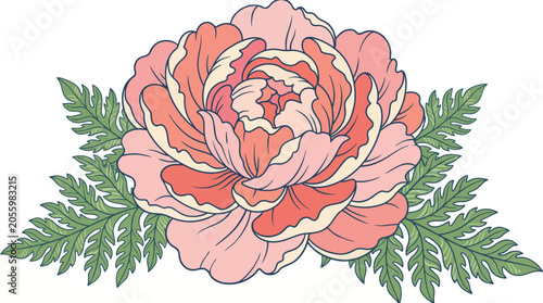 Peony Flower Illustration with Ferns, Delicate Botanical Art