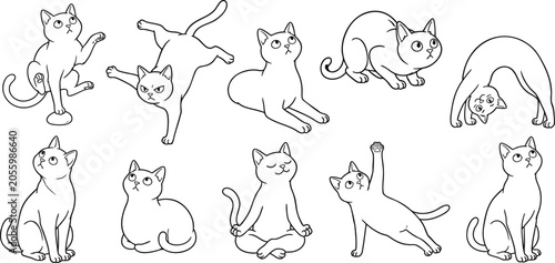 Foto Minimalist black cat line art vector illustrations set