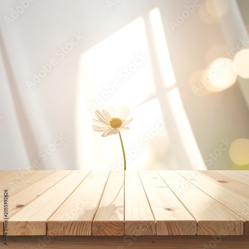A lone daisy on a wooden table in front of a window