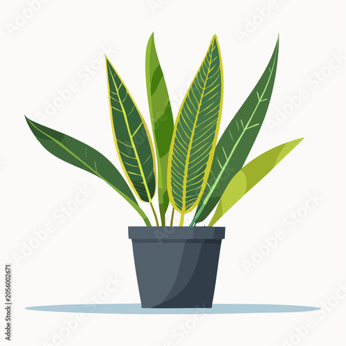Illustration of a Potted Plant with Green and Yellow Leaves