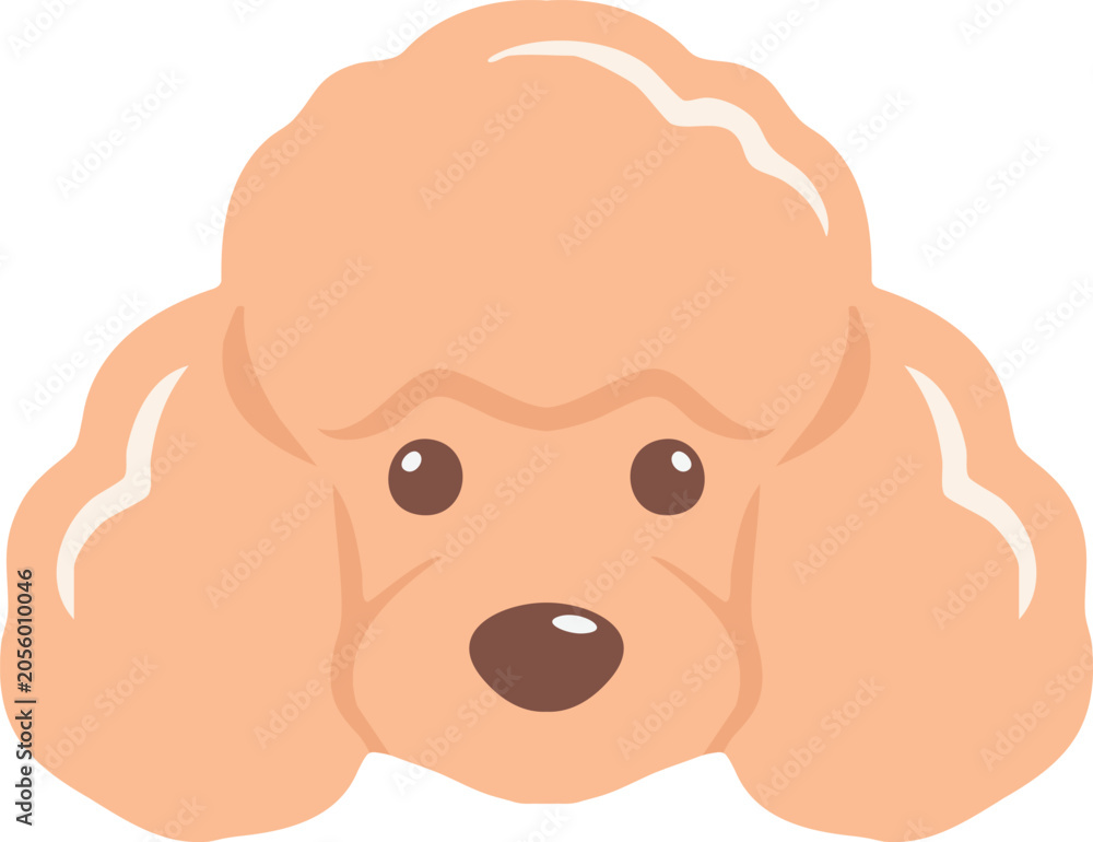 Obraz premium Fluffy poodle dog face portrait illustration