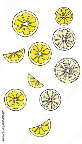 Lemon slice doodle set with lemon fruit line art and hand drawn lemon vector illustration, food, graphics