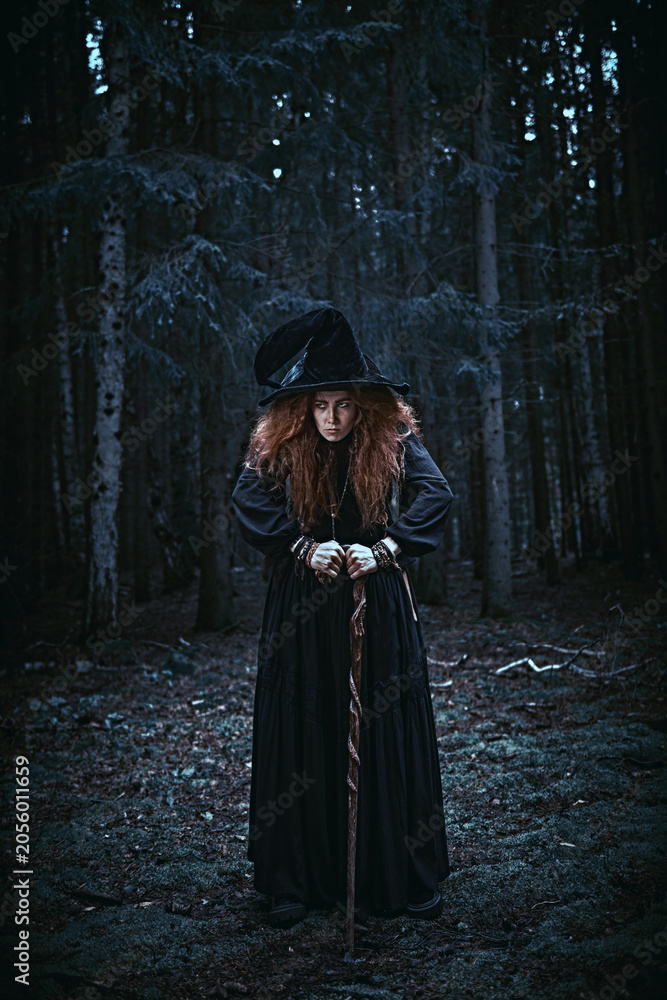 Naklejka premium Midnight Forest Witch