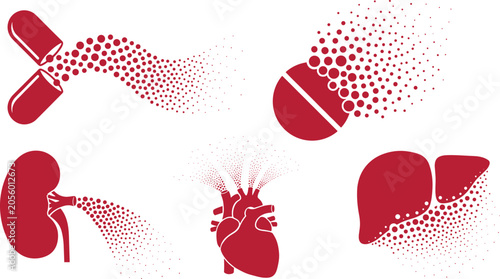 Bild auf Leinwand Medical pharmacology and organ dissolution vector icon set featuring capsule tab