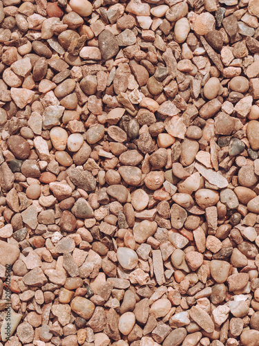Staffordshire pink decorate gravel laid in a garden path