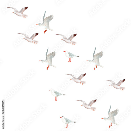 Watercolor seagull illustration with flying and standing coastal birds, airy copy space. Hand painted seaside composition for greeting cards, invitations and coastal stationery in soft neutral tones