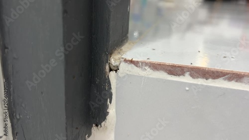Close-up shot of group of ant walking across a ceramic tile floor inside a home near a bathroom. The ant moves naturally along the grout line. Realistic indoor lighting, shallow depth of field.