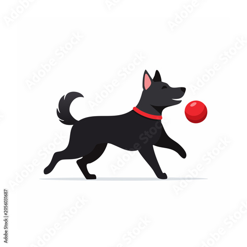 Black cat playing with red ball