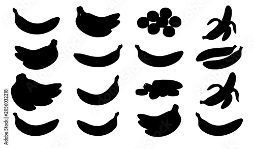 Different bananas collection vector illustration tropical fruit set isolated on white background