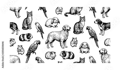 Tableau sur toile Seamless pattern with hand drawn domestic pets, cats, dogs, parrots, guinea pigs