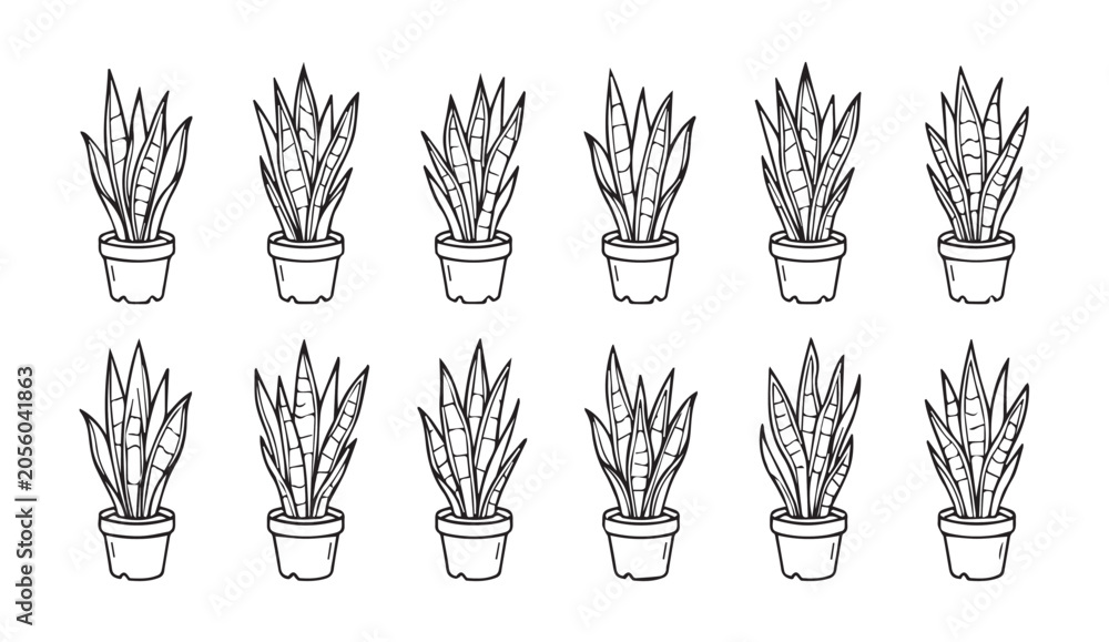 Fototapeta premium Potted Snake Plants in a grid pattern against a white background symbolizing growth and organization