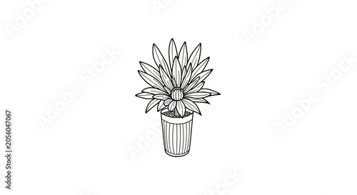 Potted succulent plant line drawing