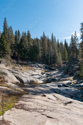 Mountain Stream Over Granite Slabs in Sierra Nevada Pine Forest California