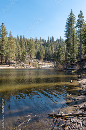 Crystal Clear Water at Hume Lake Shore with Pine Forest Reflection California