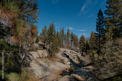 Sierra Nevada Granite Rock Formation with Conifer Forest Sequoia National Forest