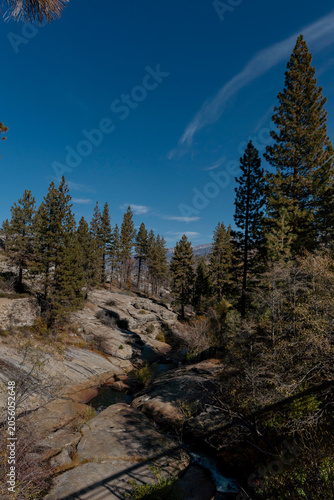 Rocky Creek Channel Through Sierra Nevada Pine Forest California