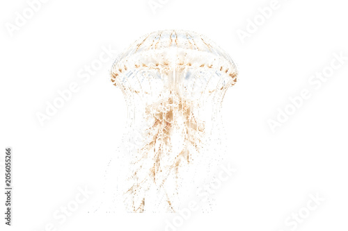 Quadro su tela Detailed illustration of a jellyfish with long tentacles in blue and pink hues