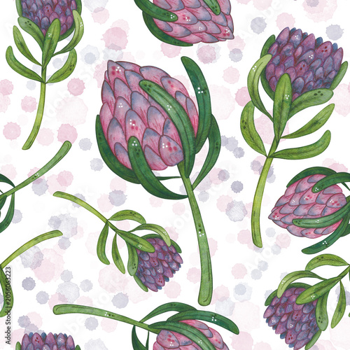 A seamless pattern of protea flowers and watercolor spots, a hand-drawn watercolor illustration, cartoon. Design for stickers, cards, and scrapbooking. Plant, green, pink, flower, nature