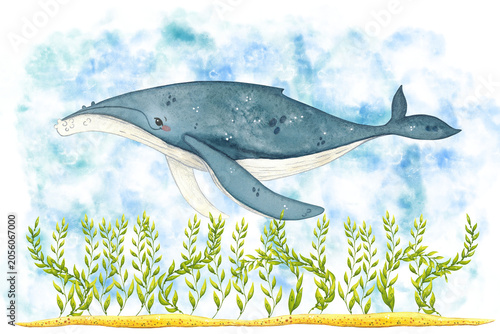 Humpback whale swims over sandy seaweed bottom. Watercolor illustration hand drawn, cartoon. Drawing for stickers, scrapbooking, poster. Animal, nature, ocean, sea, marine