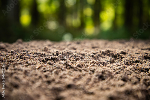 Schilderij op canvas Soil texture covers fertile earth