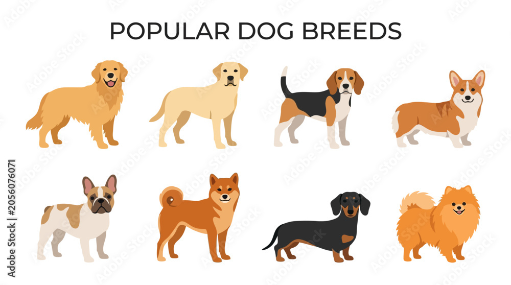 Obraz premium Popular Dog Breeds Flat Vector Illustration Set