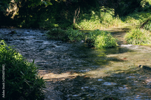 Canvas Print A small stream flowing through plants and greenery