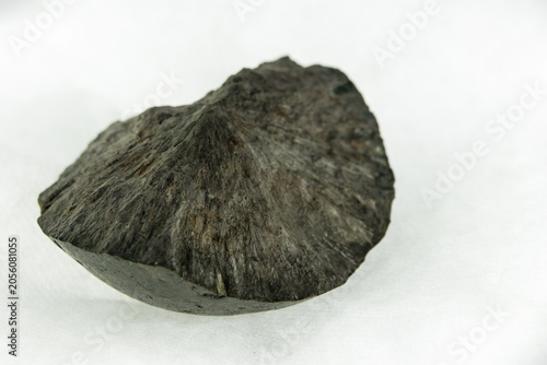 Slika na platnu Closeup mineral stone: phosphorite rock formation in the form of radial concreti