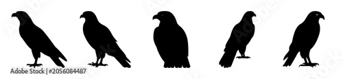 Fotografija Five black silhouettes of crows standing in a row - Minimalist vector illustration of five crow silhouettes standing in a simple, aligned row with a clean and modern aesthetic