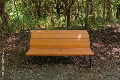 A bench placed quietly in the middle of a forest