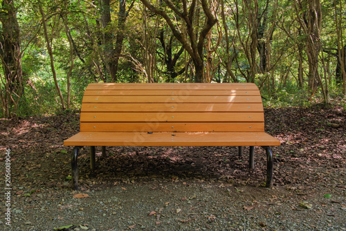 A bench placed quietly in the middle of a forest