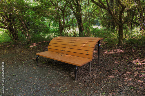 A bench placed quietly in the middle of a forest