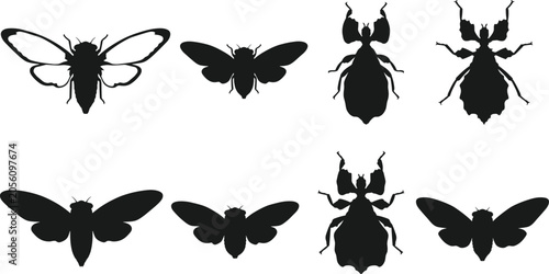 Fotografia Set of black silhouettes of various insects including cicadas and leaf insects i