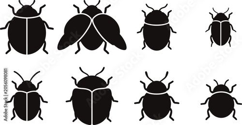 Foto Set of eight black beetle silhouettes showing different species and wing positio
