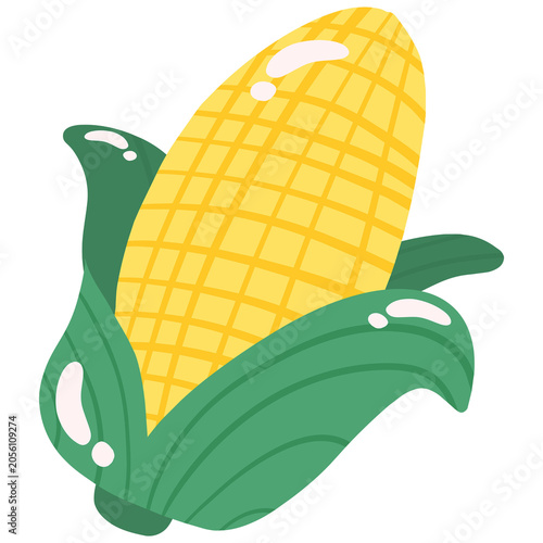 Corn vegetables set yellow green ear husk fresh harvest icon illustration isolated on transparent background for farm market food ingredient design
