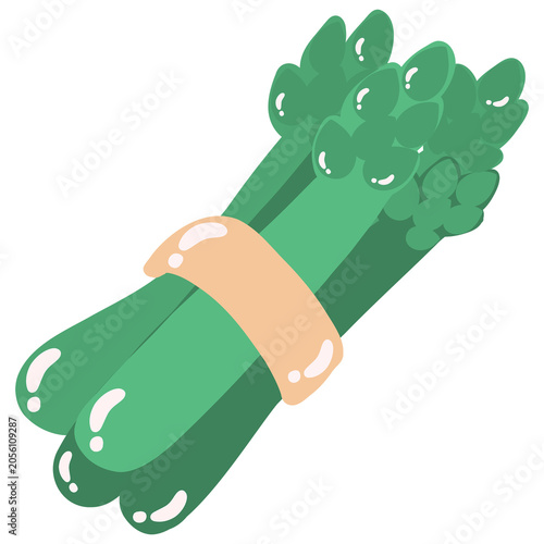 Asparagus vegetable bundle green stalk fresh spear cartoon illustration organic food healthy ingredient tied with beige band for cooking, market, nutrition, diet