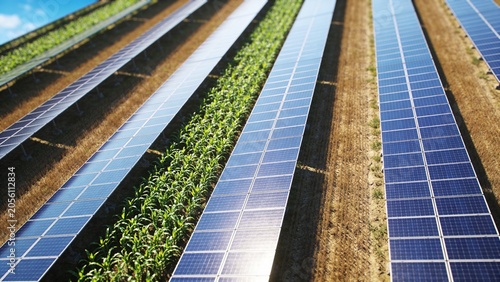SolarPanelsIntegratedWithVerticalFarmingShowcasingSustainableAgricultureAndRenewableEnergyTechnologyInnovation