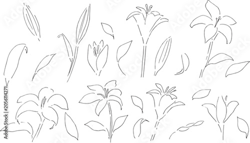 Adobe Stock_template_5_3