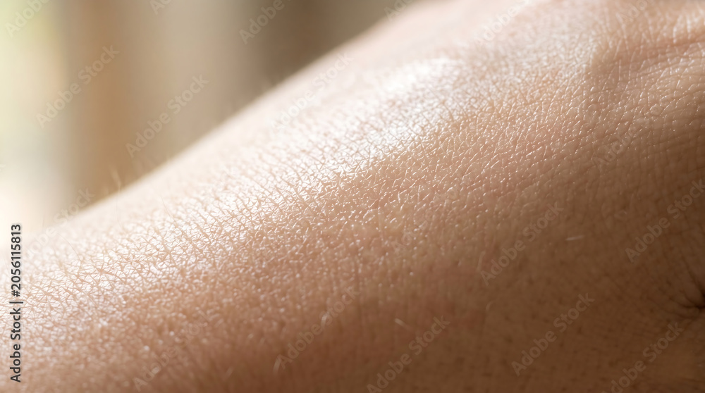 Fototapeta premium Macro photography of human skin texture with natural sunlight reflection for moisture hydration and organic skincare beauty product ad banner.