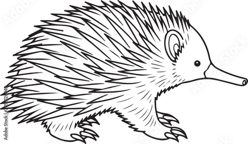 Cuadro en lienzo Short Beaked Echidna Walking Side View Line Art Illustration