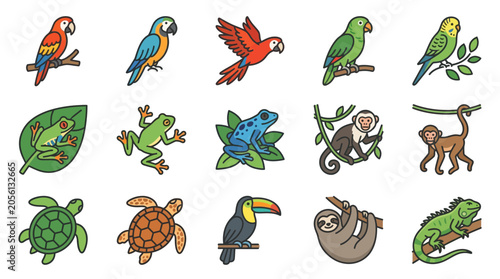 Photography Colorful cartoon tropical rainforest animals.