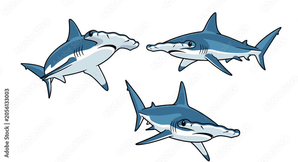 Obraz premium Three Hammerhead Sharks Swimming Together in Ocean Water