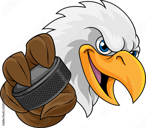 Bald Eagle Falcon Hawk Ice ...
