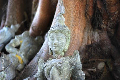 Tableau sur toile Numerous old and damaged Buddha images are found at the base of large trees in the temple
