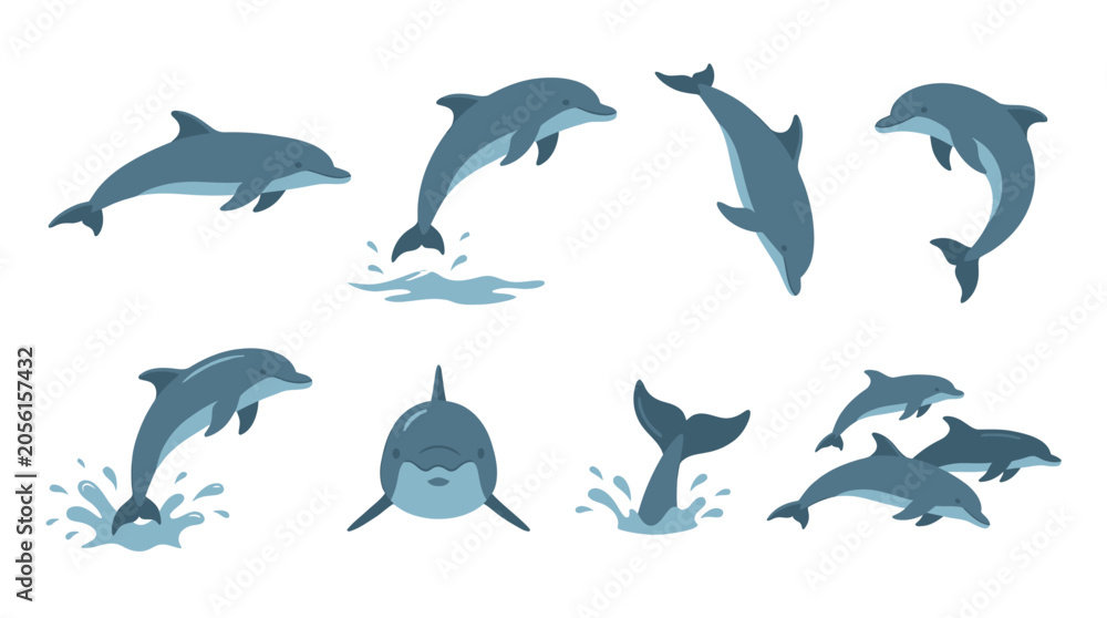 Fototapeta premium Set of cute cartoon dolphin characters in various poses and actions isolated on white background.
