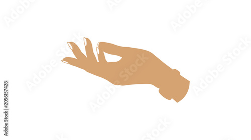 Elegant Woman's Hand Gesturing Open Palm Isolated on White Background