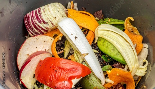 Compost bin filled with organic kitchen scraps