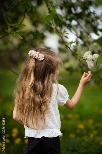 Rear view of a young girl with long wavy light brown hair adorned with a decorative fabric hair clip, gently touching a blossoming tree branch in spring. The image emphasizes the natural beauty.
