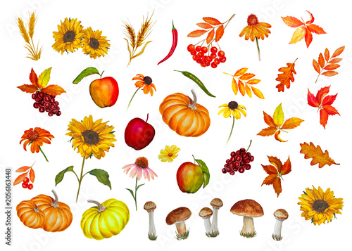 Watercolor autumn elements set with pumpkins and sunflowers, leaves, apples, mushrooms , flowers